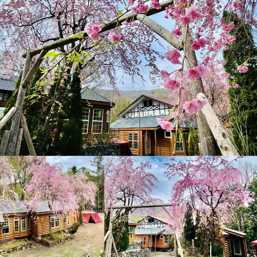 Hakuba Canadian Lodge Εξωτερικό φωτογραφία
